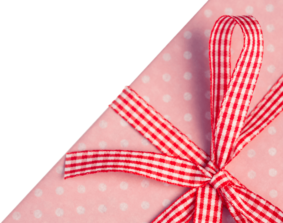 Transparent Christmas Gift with Red Gingham Ribbon and Polka Dot Paper