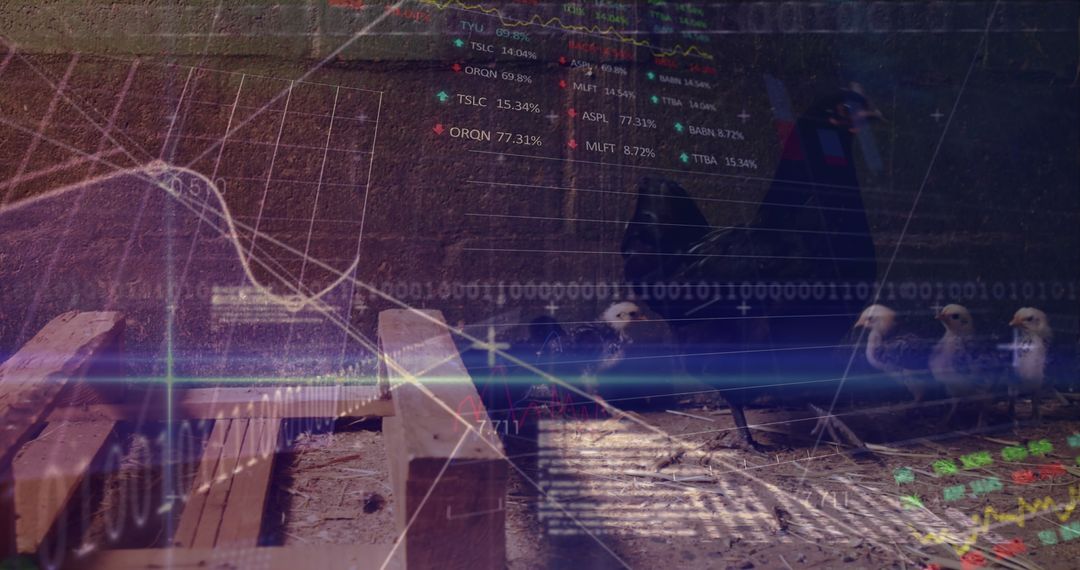 Digital Integration in Farming with Hens