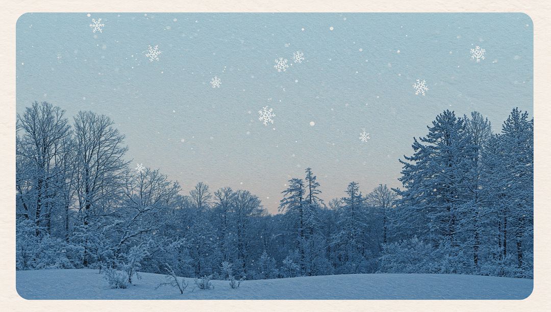 Winter Dawn Snowfall over Frosted Pine Forest, Snow-Covered Clearing and Bare Trees