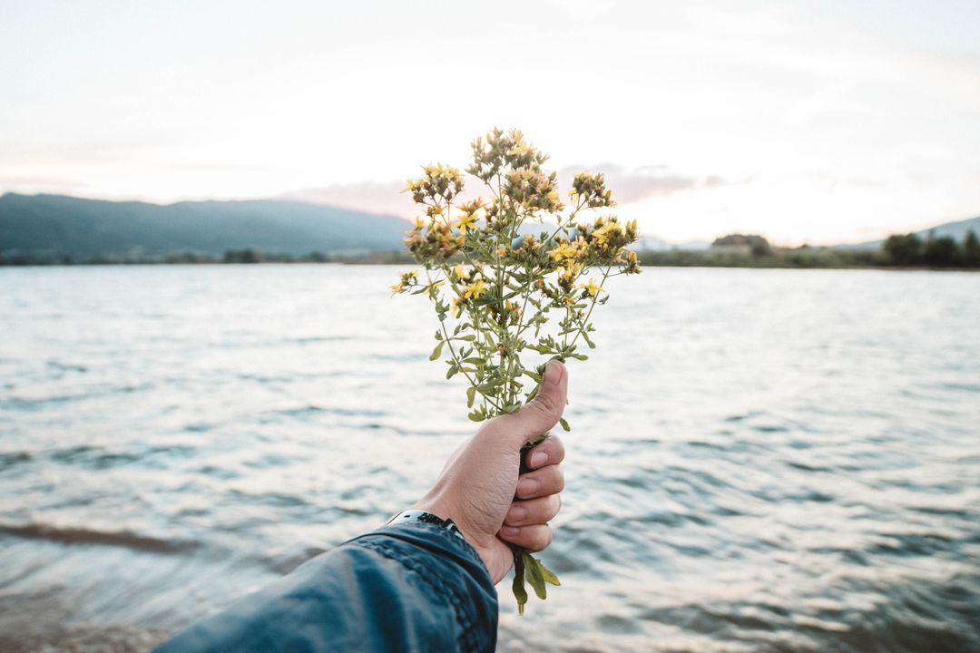 Hand Holding Wildflowers with Scenic Lake and Mountains at Sunrise - Free Images, Stock Photos and Pictures on Pikwizard.com