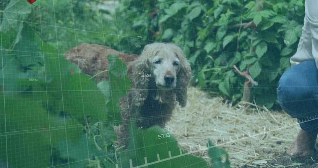 Curious Dog Exploring Lush Green Garden