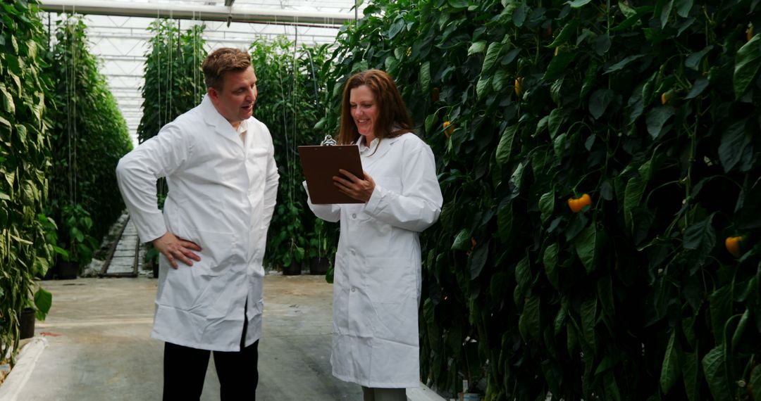 Scientists Analyzing Plant Growth in Greenhouse Environment