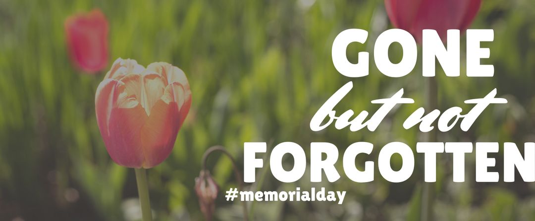 Solemn Memorial Day Tribute with Tulips