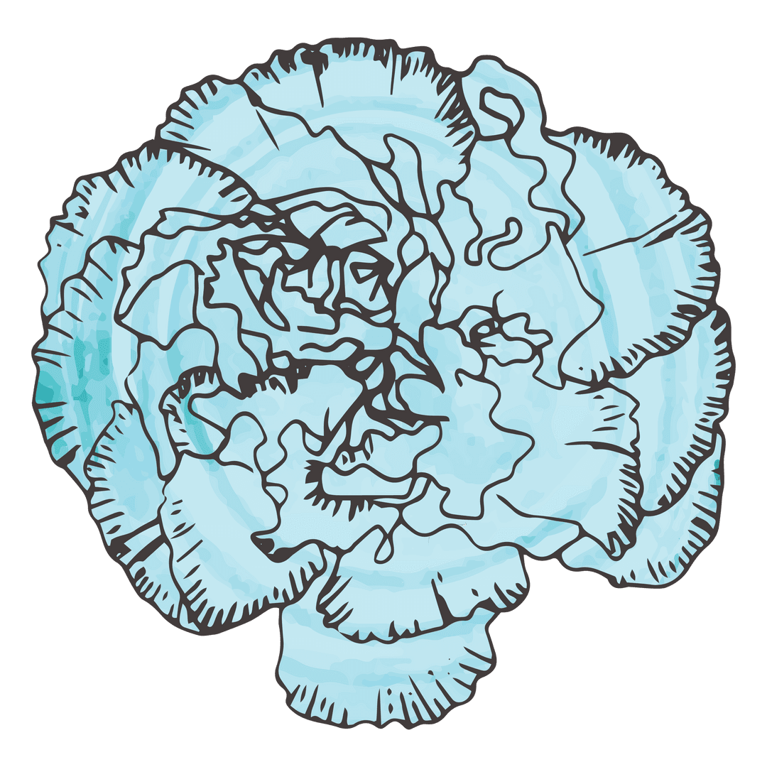 Transparent Blue Flower Sketch With Detailed Petals