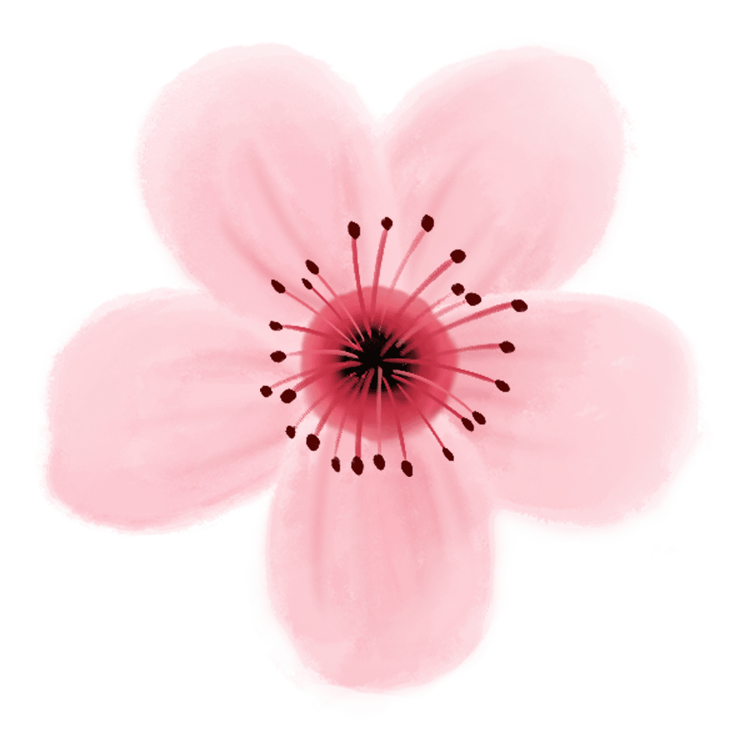 Artistic Transparent Watercolor Blossom with Pink Petals