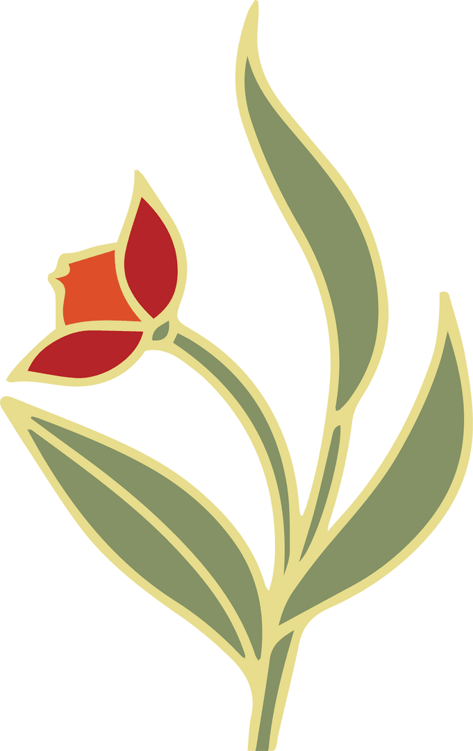 Stylized Tulip Illustration with Transparent Background