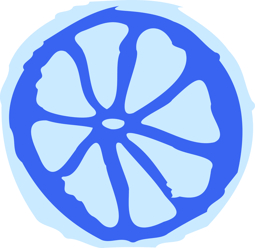 Stylized Citrus Slice Illustration with Transparent Background