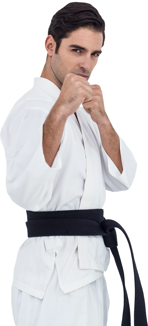 Martial Artist Performing Karate Stance Wearing Traditional Gi - Download Free Stock Images Pikwizard.com