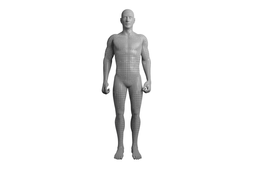 Digital Human Model on Transparent Background Technology Theme