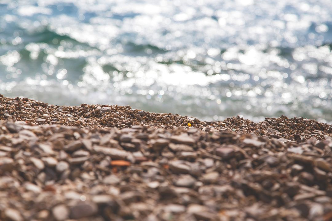 Abstract View of Sunlit Pebbles by the Seashore - Free Images, Stock Photos and Pictures on Pikwizard.com