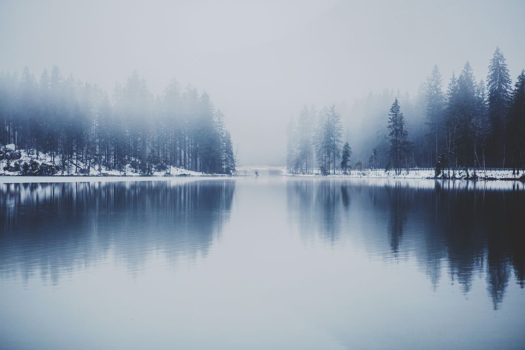 Tranquil Misty Lake with Snow-Covered Pine Trees on Overcast Day - Free Images, Stock Photos and Pictures on Pikwizard.com