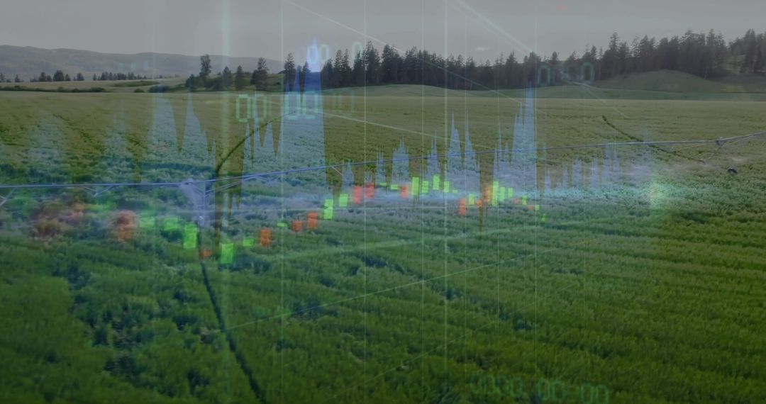 Digital Candlestick Chart Superimposed on Expansive Farmland