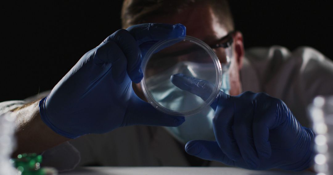 Scientist Conducting Research with Petri Dish in Laboratory - Free Images, Stock Photos and Pictures on Pikwizard.com