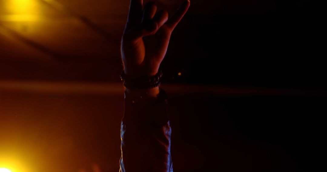 Concertgoer's hand showing rock gesture at live music event - Free Images, Stock Photos and Pictures on Pikwizard.com