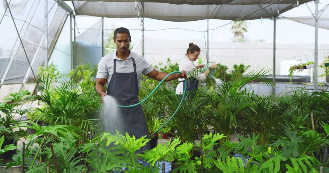 Gardeners Watering Plants in Nursery Under Canopy