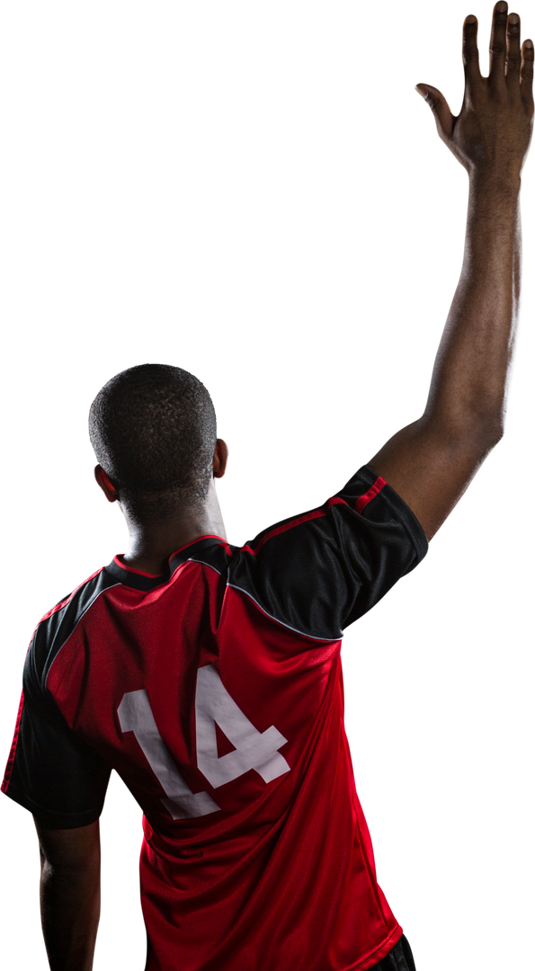 Rear View of Player in Transparent Volleyball Jersey Raising Hand - Download Free Stock Images Pikwizard.com