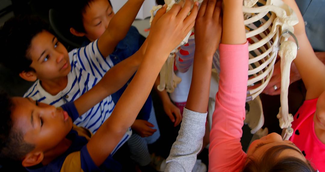 Children Learning Human Anatomy with Skeleton in Classroom