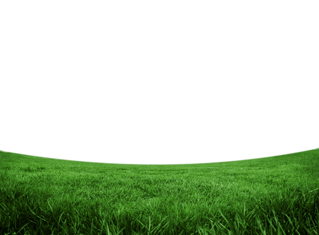 Grass Field Stretching Across Transparent Background, Verdant Lawn