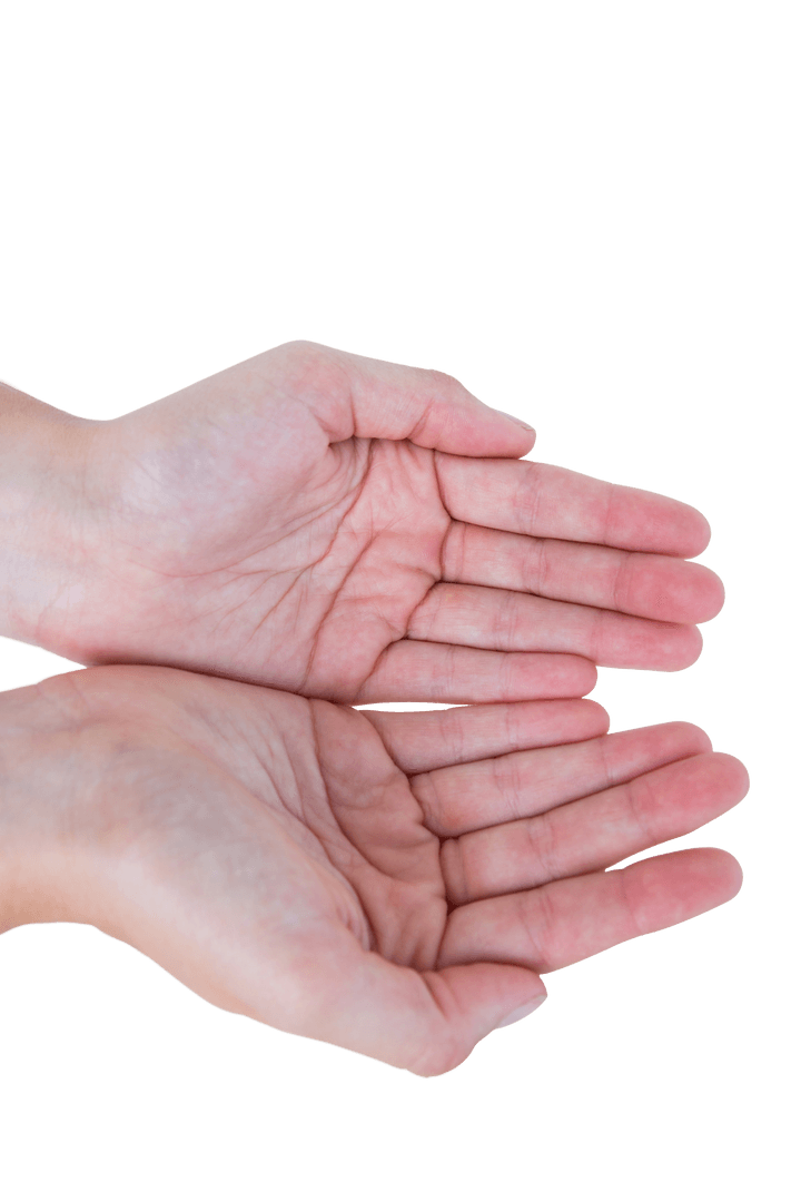 Transparent Overlay of Open Human Hands