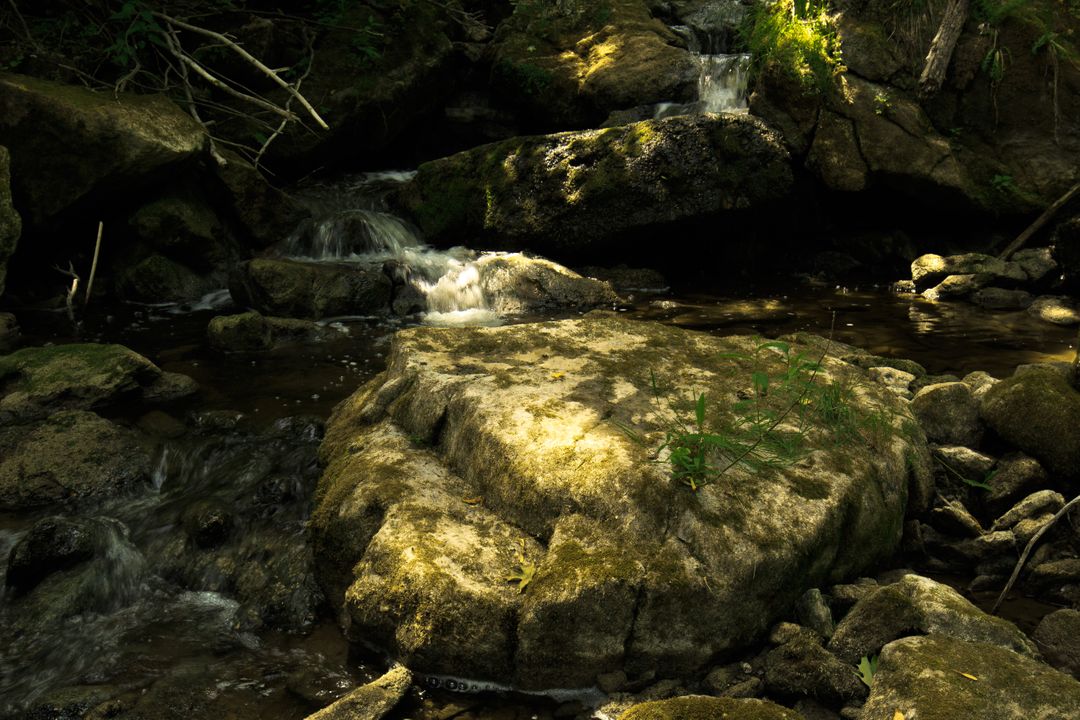 Tranquil Forest Stream with Rocks and Waterfall - Free Images, Stock Photos and Pictures on Pikwizard.com