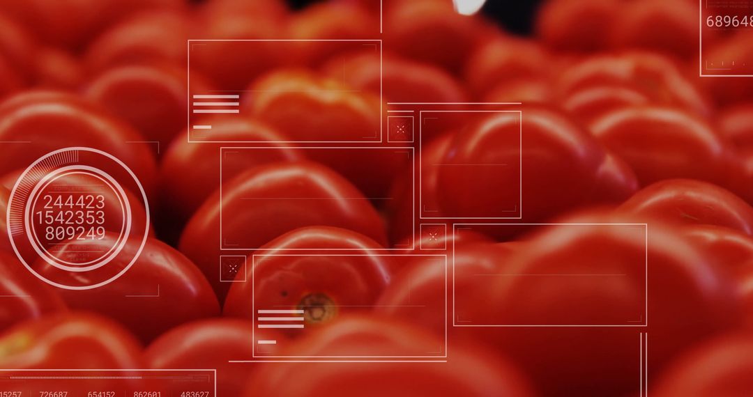 Automated Tomato Quality Inspection with Data Interfaces