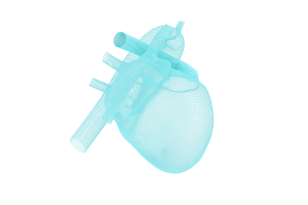 Transparent 3D Heart Model Illustration Isolated on White Background