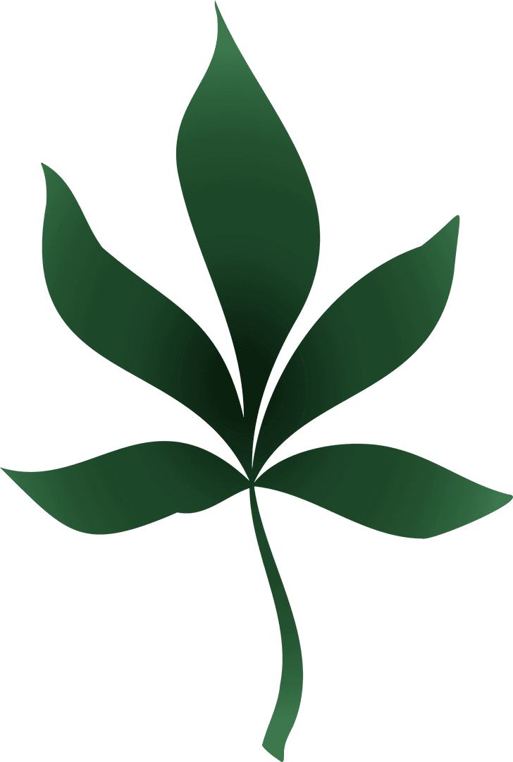 Transparent Green Palmate Leaf with Smooth Gradient Design