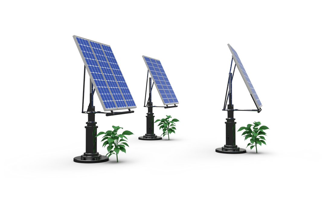 Transparent 3D Illustration of Solar Panels and Plants Isolated on White - Download Free Stock Images Pikwizard.com