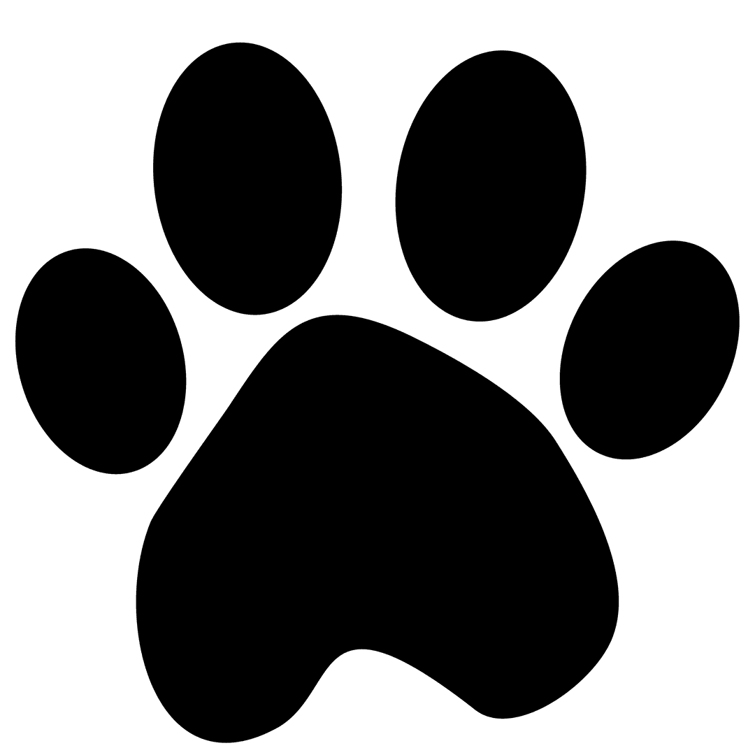 Isolated Animal Footprint on Transparent Background for Nature Themes