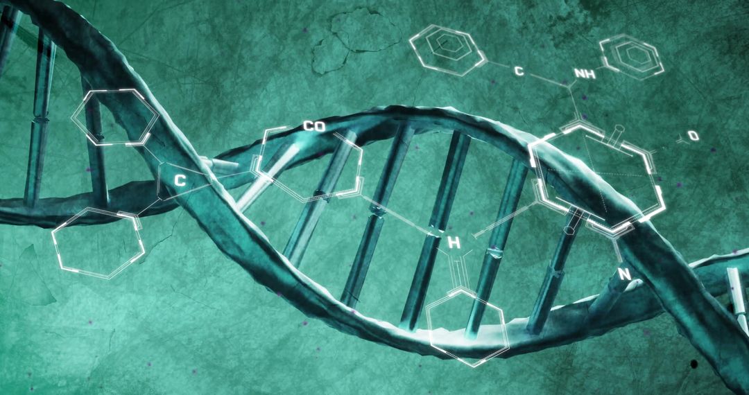 DNA Strand with Holographic Chemical Structures