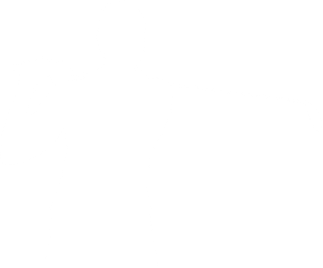 Silhouette of Golf Player During Match on Transparent Background - Download Free Stock Images Pikwizard.com