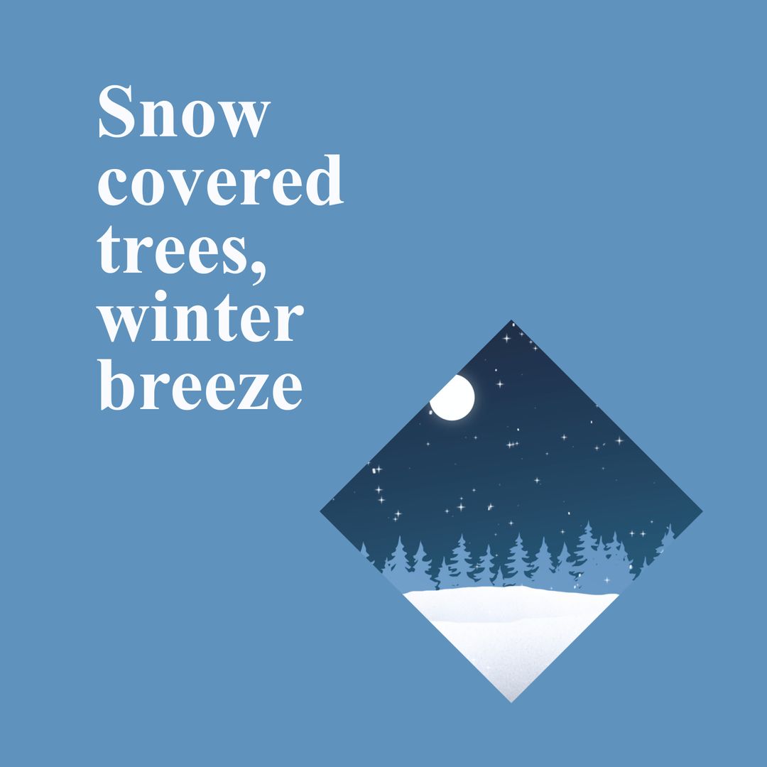 Winter Forest Scene with Snow and Night Sky