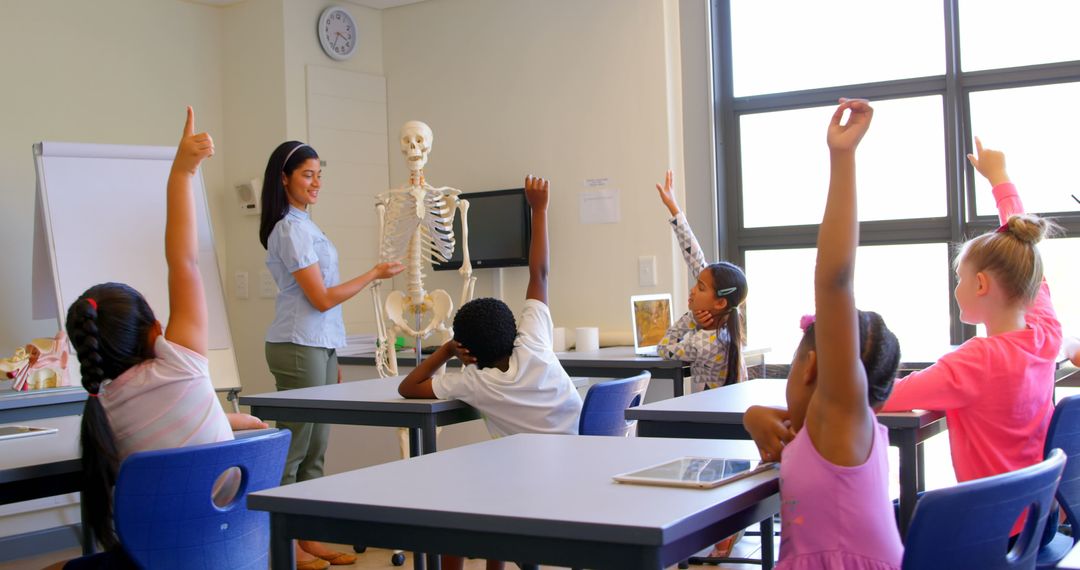 Curious Students Learning Human Anatomy in Classroom
