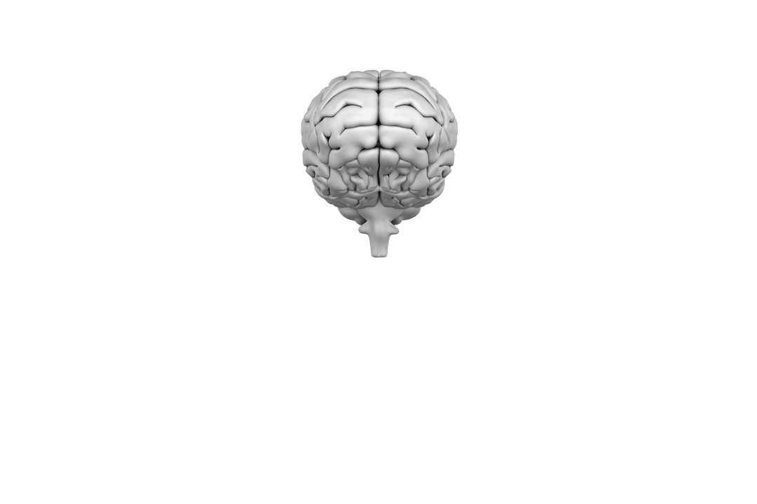 Digital brain model isolated on transparent background, modern science illustration - Download Free Stock Images Pikwizard.com