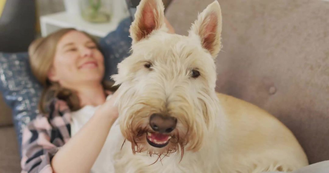 Woman Relaxing at Home with Happy Terrier on Couch