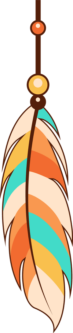 Bohemian Feather Ornament with Beads on Transparent Apamatewood Background