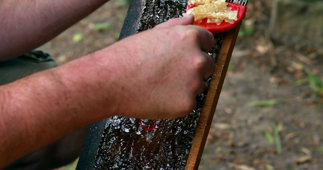 Beekeeper Extracting Honey from Honeycomb Outdoors - Free Images, Stock Photos and Pictures on Pikwizard.com