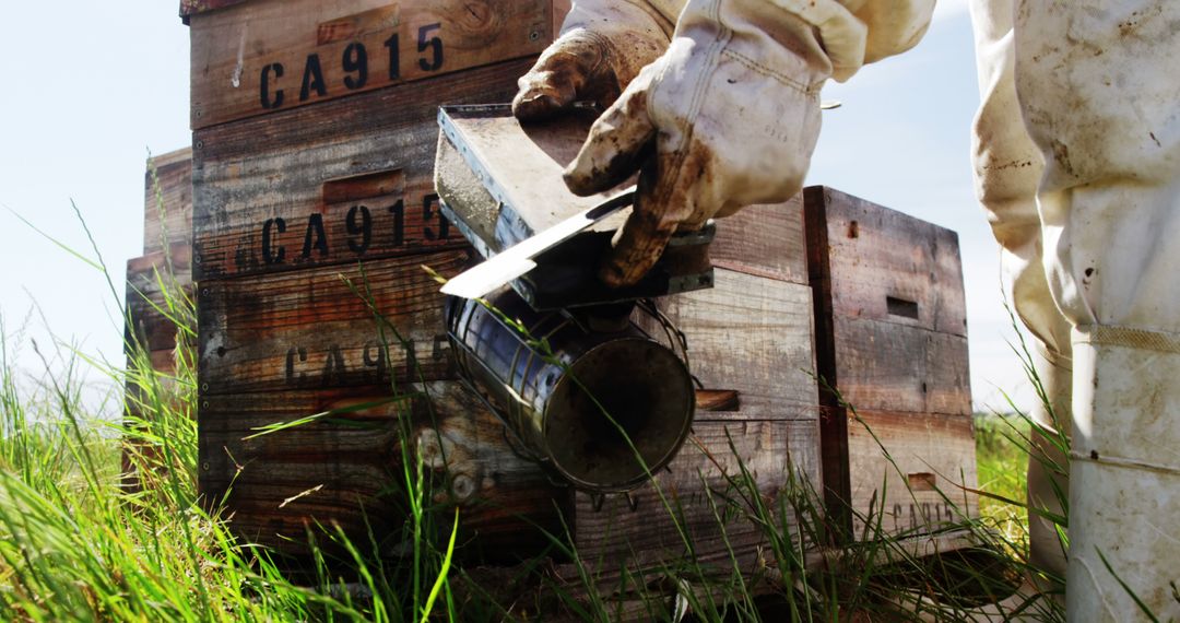 Beekeeper Handling Smoker Near Beehives in Field - Free Images, Stock Photos and Pictures on Pikwizard.com