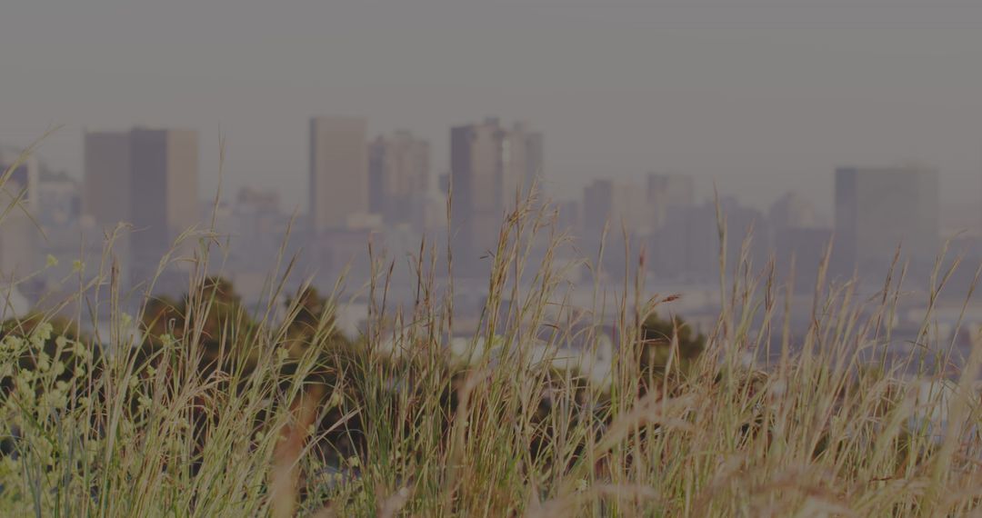 Conceptual Cityscape with Secure Technology Overlay