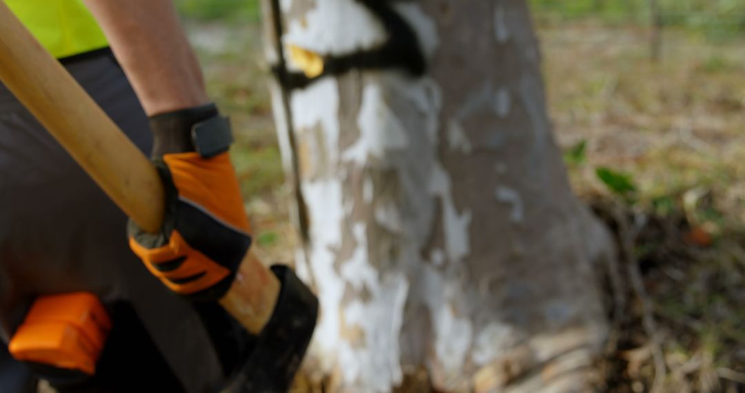 Forestry Worker Chopping Tree in Protective Gear - Free Images, Stock Photos and Pictures on Pikwizard.com