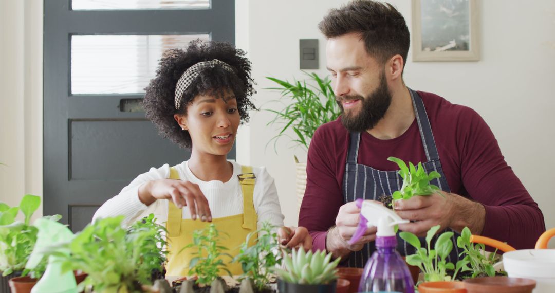 Image of happy diverse couple having fun potting seedlings and tending to plants at home - Free Images, Stock Photos and Pictures on Pikwizard.com