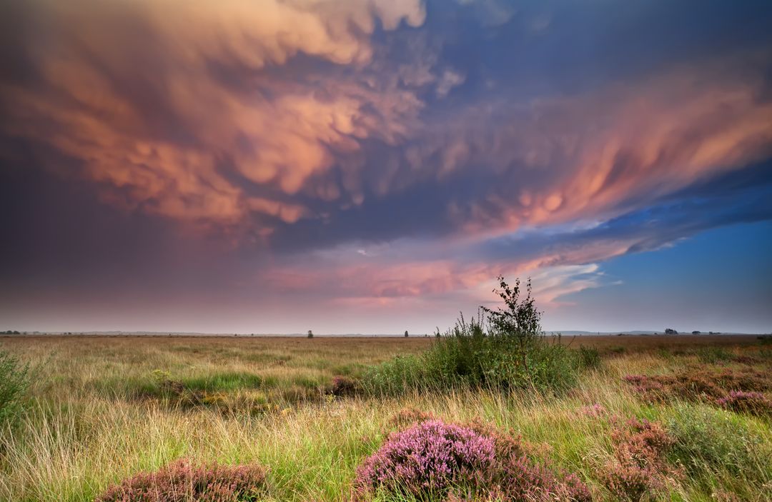 Sunset over Scenic Heathland with Dramatic Clouds - Free Images, Stock Photos and Pictures on Pikwizard.com