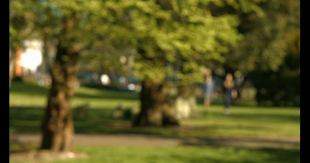 Blurry Park with Green Trees in Summer Daylight - Free Images, Stock Photos and Pictures on Pikwizard.com