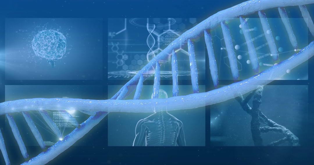 DNA Strands and Scientific Diagrams Representing Genetics