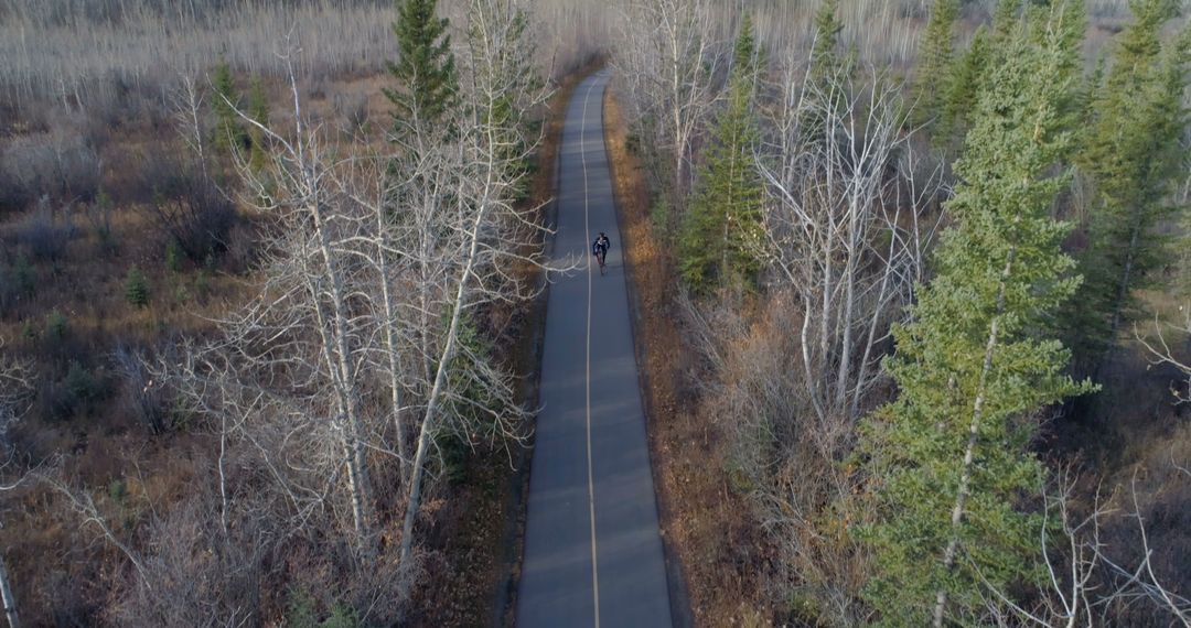 Aerial view of a person cycling on a secluded road, surrounded by trees - Free Images, Stock Photos and Pictures on Pikwizard.com