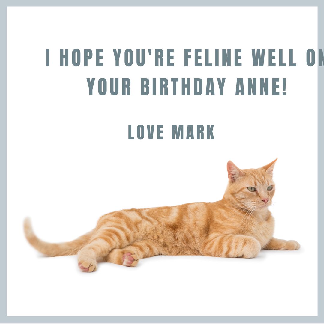 Birthday Greeting Card with Relaxed Ginger Cat