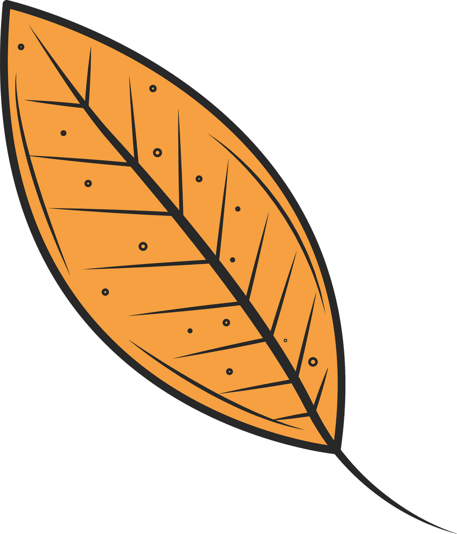 Stylized Orange Leaf with Veins on Transparent Background
