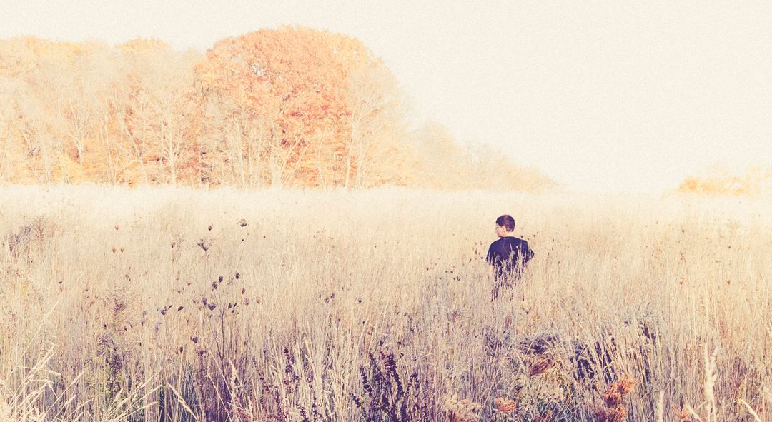 Man Walking Through Autumn Field with Trees in Distance - Free Images, Stock Photos and Pictures on Pikwizard.com