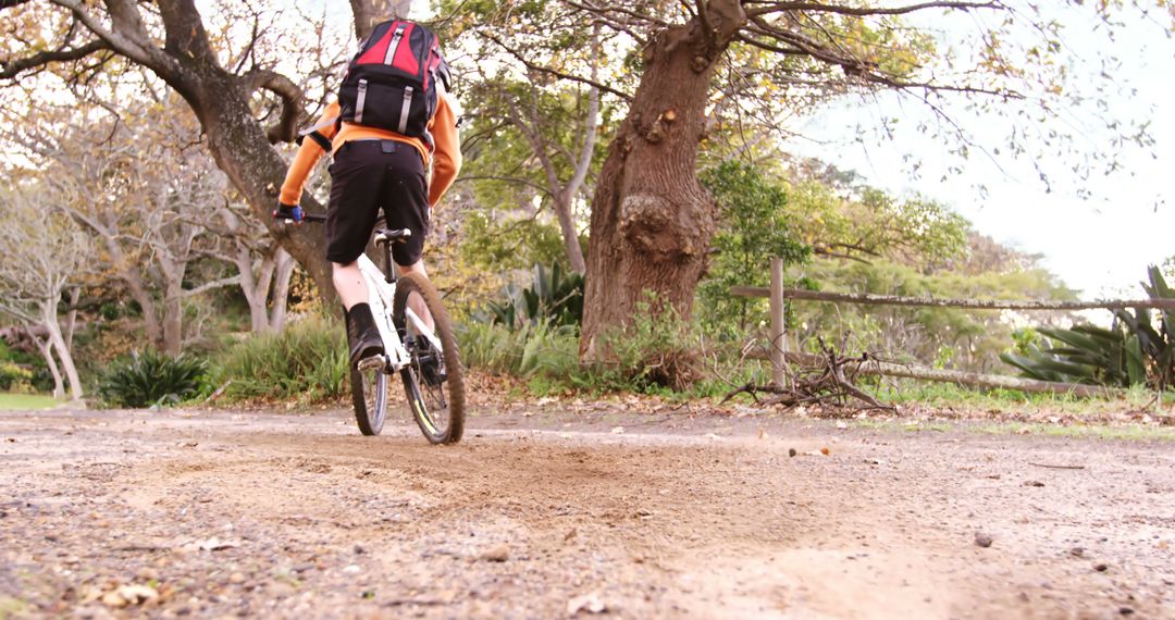 Mountain Biker Riding Through Forest Path in Autumn - Free Images, Stock Photos and Pictures on Pikwizard.com