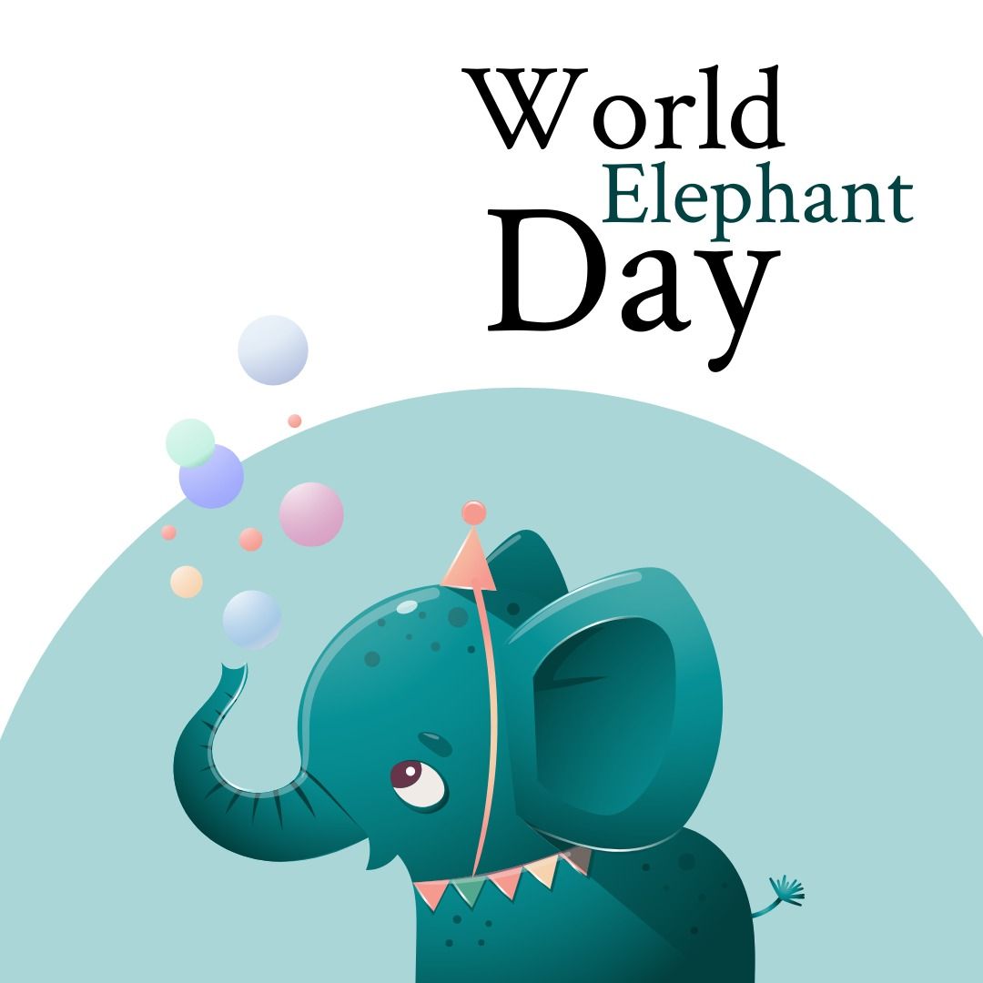 Illustration of elephant partying with world elephant day text on white background, copy space - Download Free Stock Templates Pikwizard.com